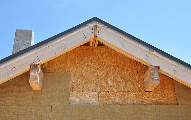 Best Storm Damage Siding Repair  in Daytona Beach, FL